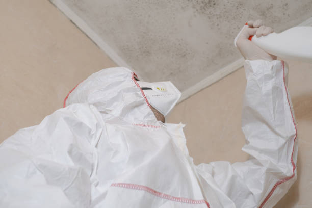 Best Commercial Mold Inspection  in Strum, WI